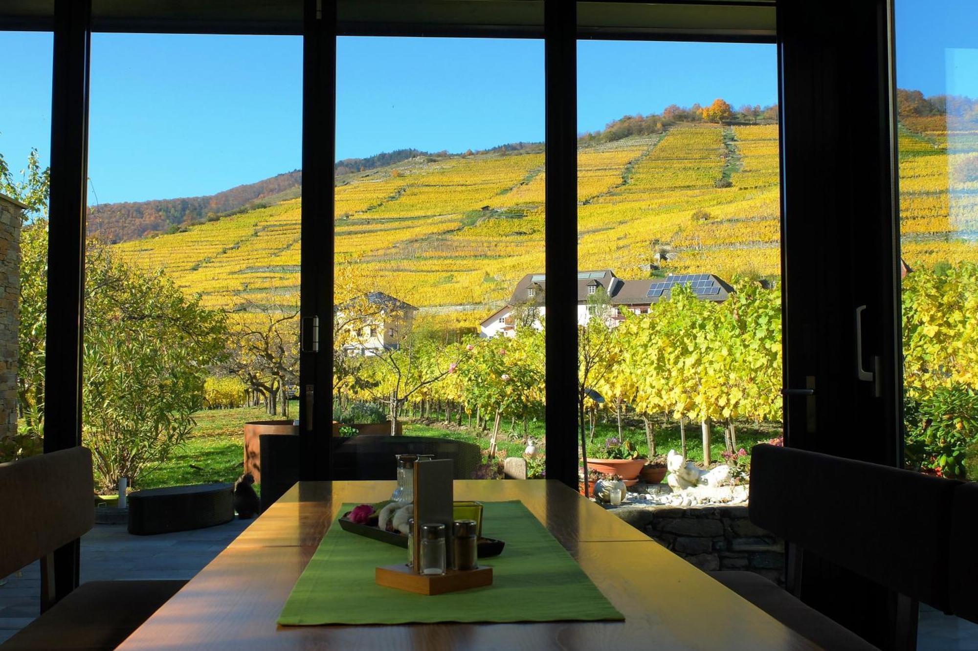 Weingut Donabaum "In Der Spitz" Apartment Spitz an der Donau Room photo