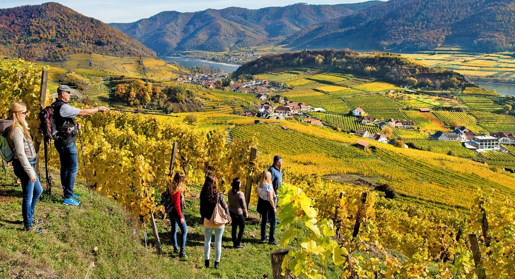 Weingut Donabaum "In Der Spitz" Apartment Spitz an der Donau Exterior photo